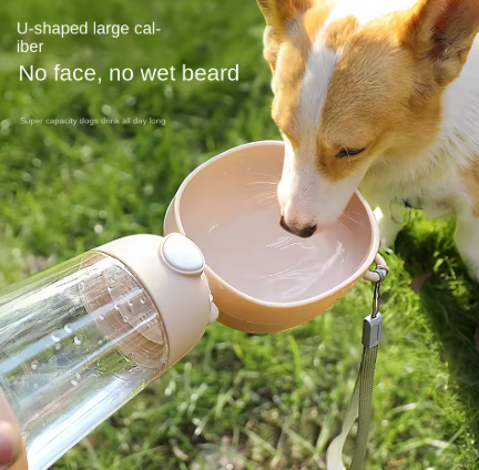 Portable Water Bowl